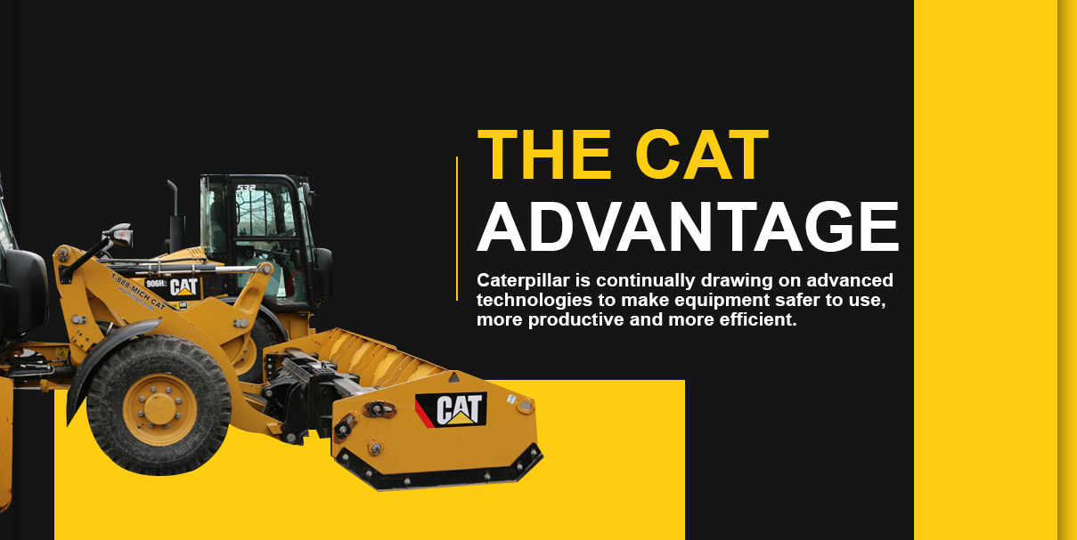 The Cat Advantage