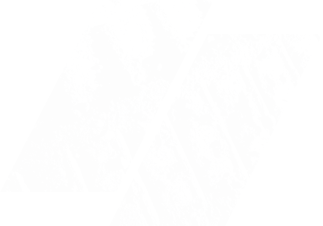 half-and-half-image-texture__image__bg