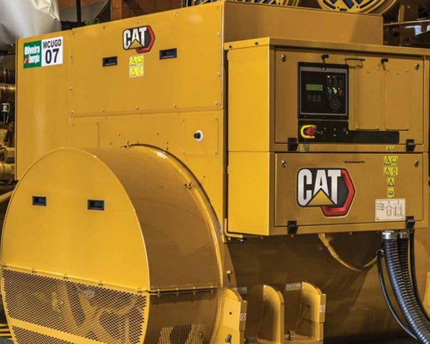 cat-generator
