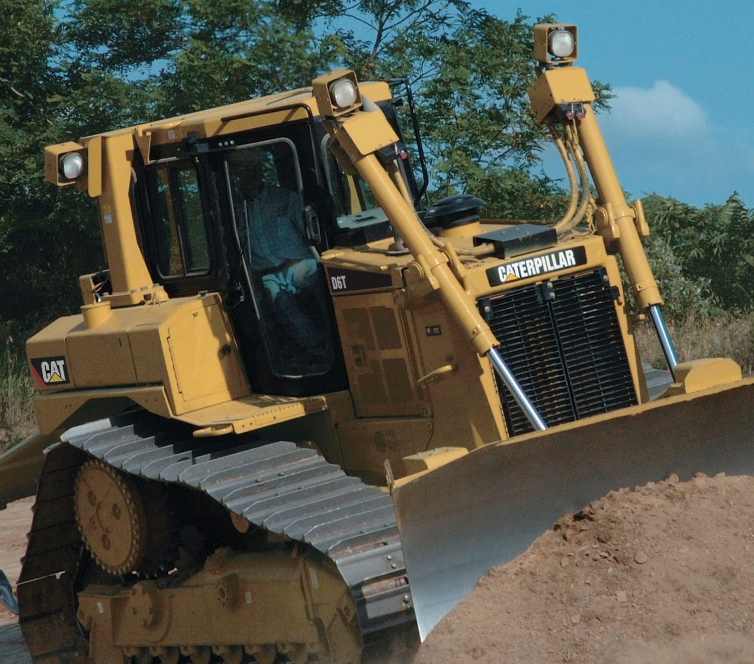 d6t-e1736202292394