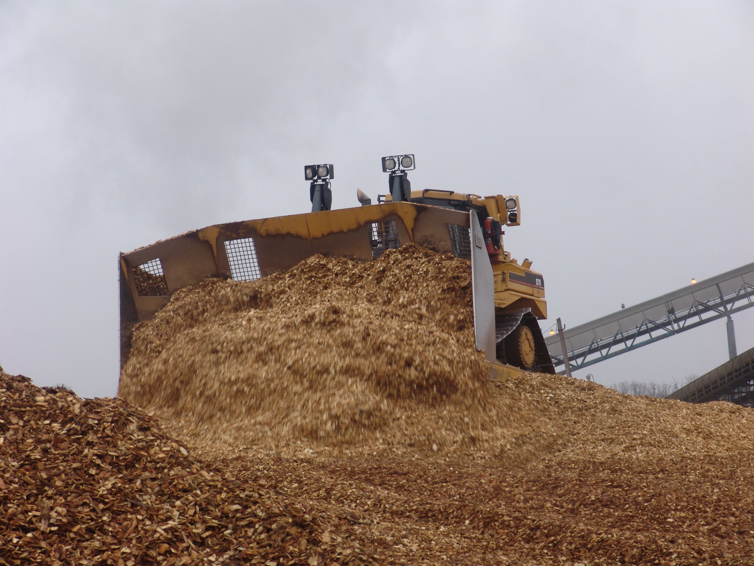Woodchip